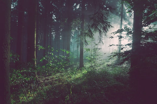 Premium Digital Wallpaper Bundle